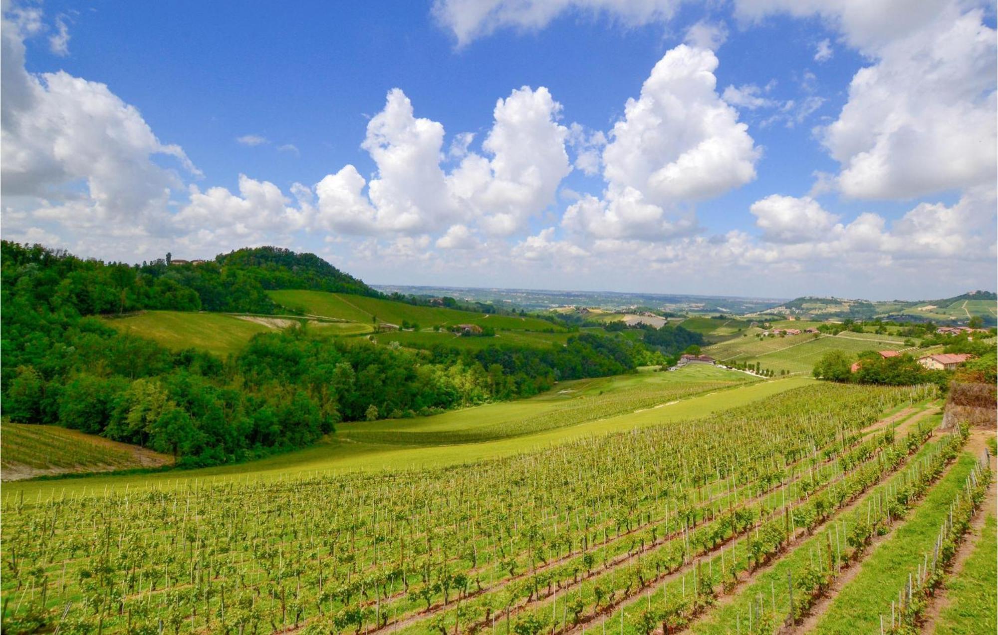 Pet Friendly Home In San Cristoforo With Wifi Esterno foto